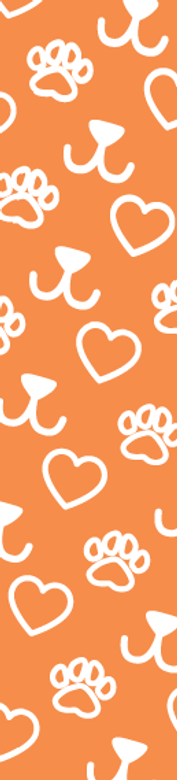 wallpaper-ORANGE-small.png