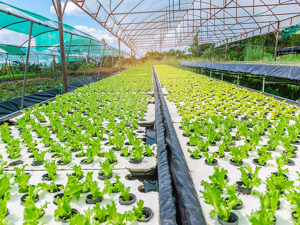 Space Farming: Can We Grow Food on Mars?
