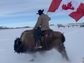 The Canadian Patriot