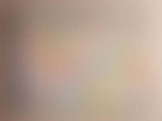 Top Benefits of Structured Daily Schedule at Pup House Club