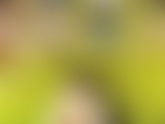 今日のごうりん#46 2022/11/3