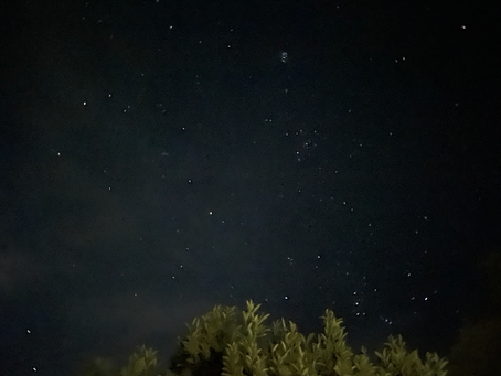 今日のごうりん#35 2022/10/22