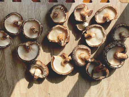 今日のごうりん#110