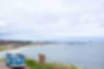 DSC07488_reduced.jpg