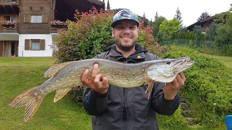 Chalets Zöhrer - Wohnen am Wasser