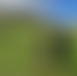 BRAAI, náš love brand a hodnoty