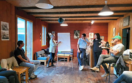 coaching professionel