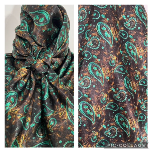 Chocolate with Bright Teal Paisley PA118