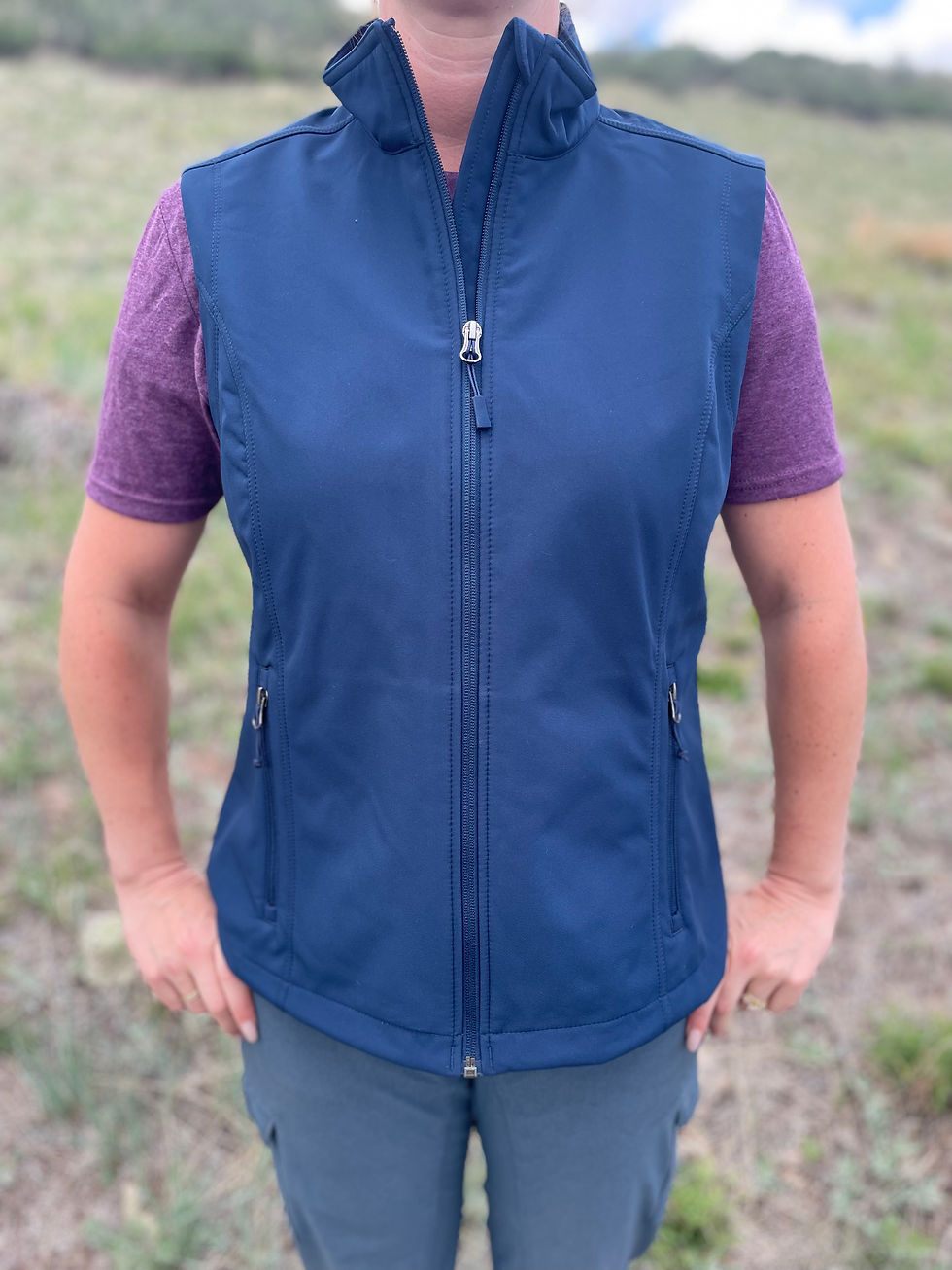 Thumbnail: Blue Ladies Ram Embroidered Softshell Vest