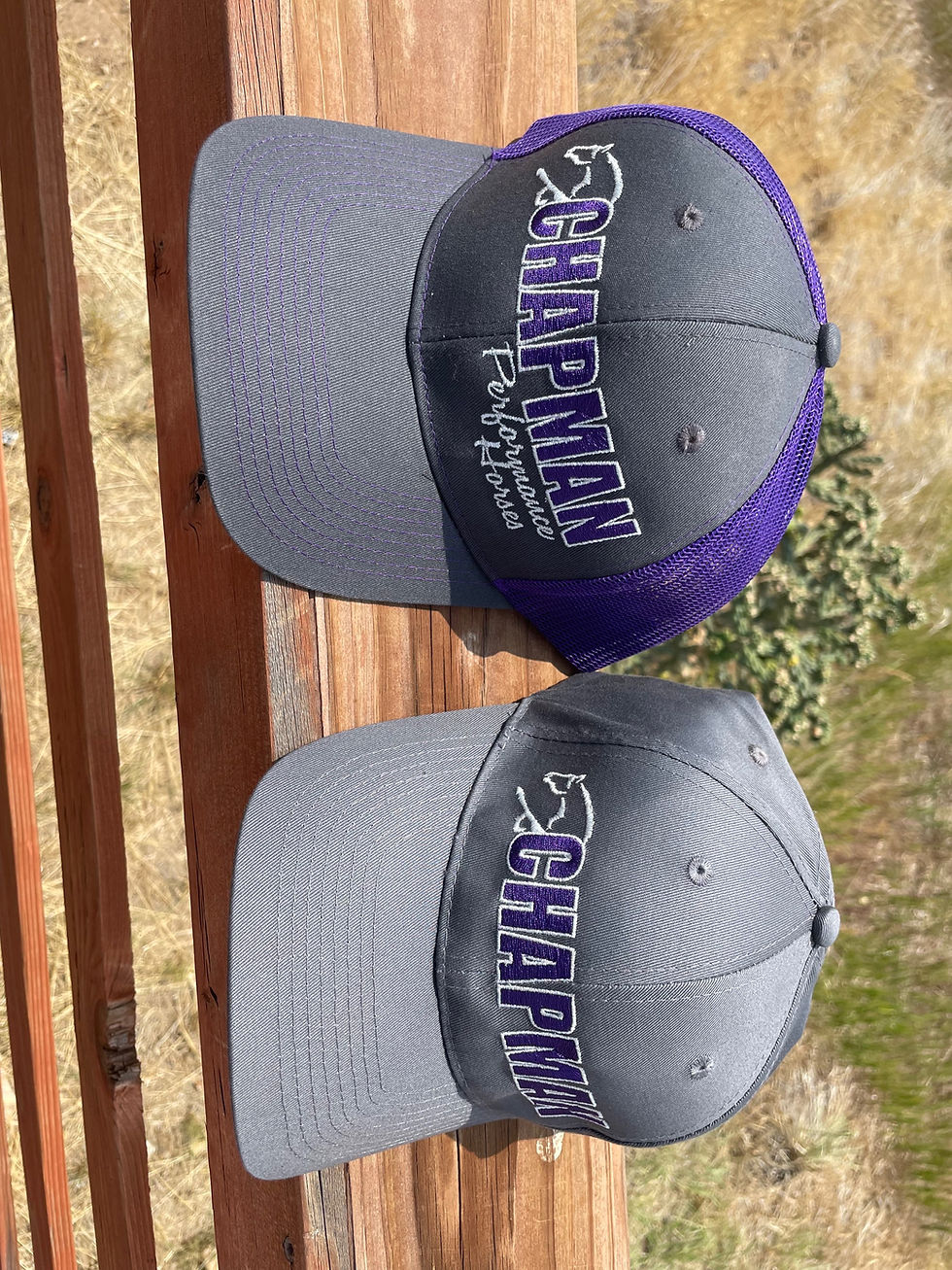 Thumbnail: Chapman Hats and Visors 
