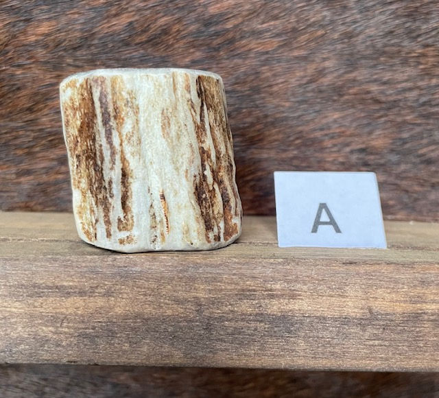 Elk Antler Slides for 36" Wild Rags