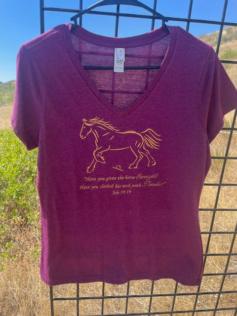 Give your horse strength V-Neck Tee in Heathered Raspberry