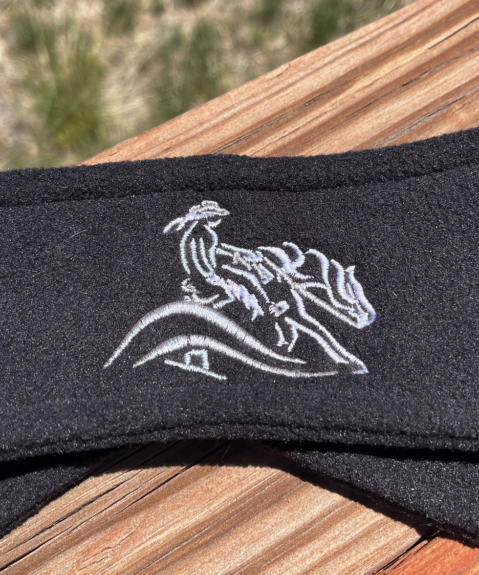 Thumbnail: Lady Reiner black fleece ear band