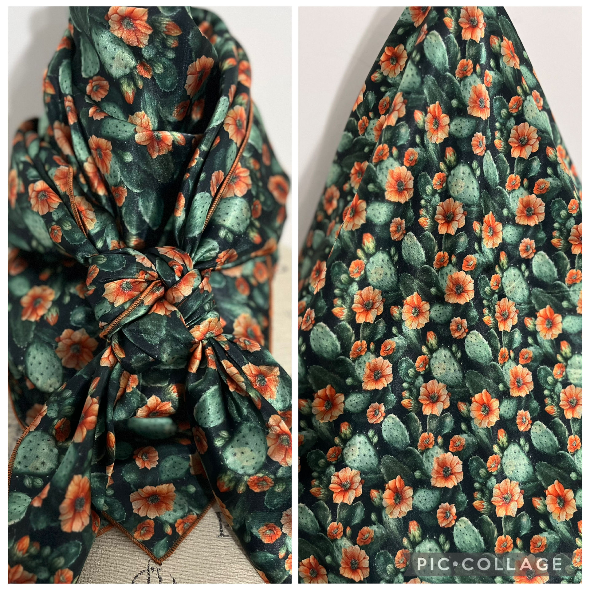 Cactus with Rust Blooms Print FL519