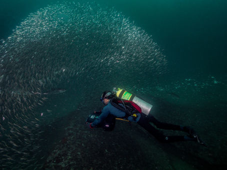 Adaptive Diver on a DPV