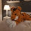 Miniaturbild: Tiger "Ben"