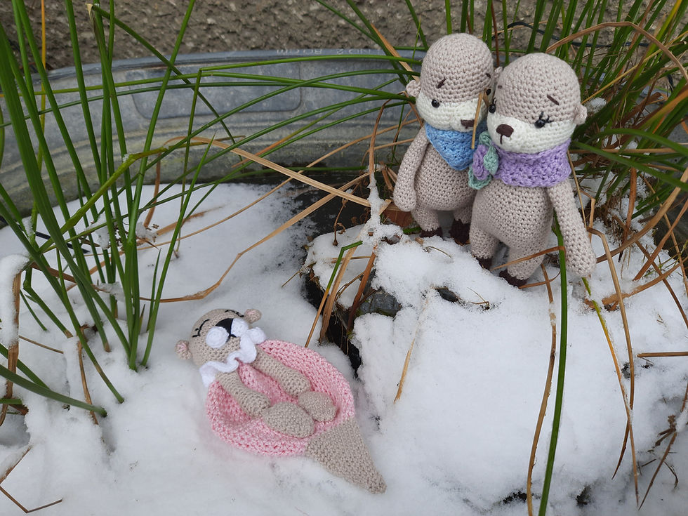 Miniaturbild: Otter "Ottilie" 