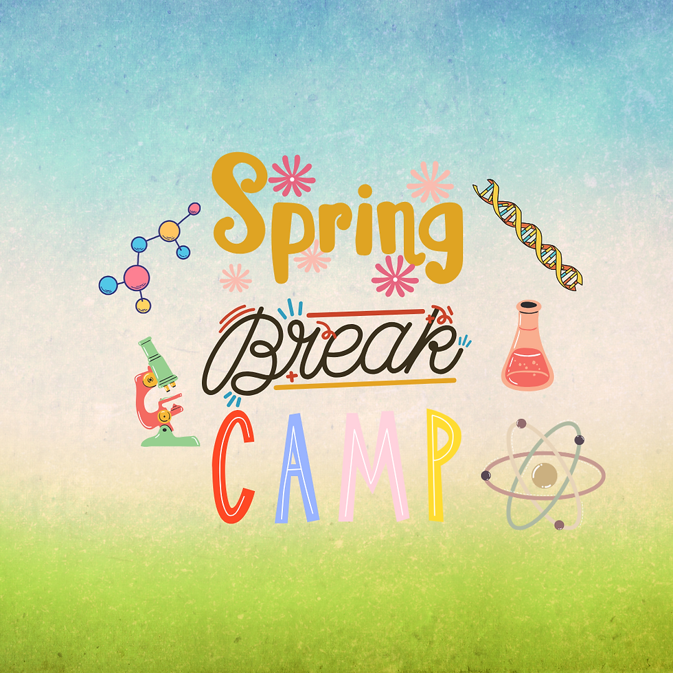 Spring Break Camp