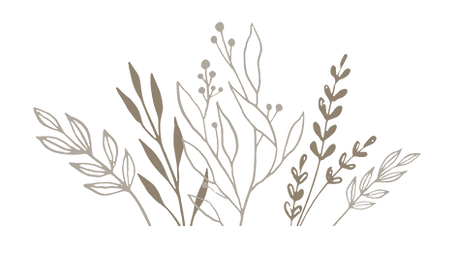 Bildschirmfoto 2025-01-27 um 14.51_edited.png