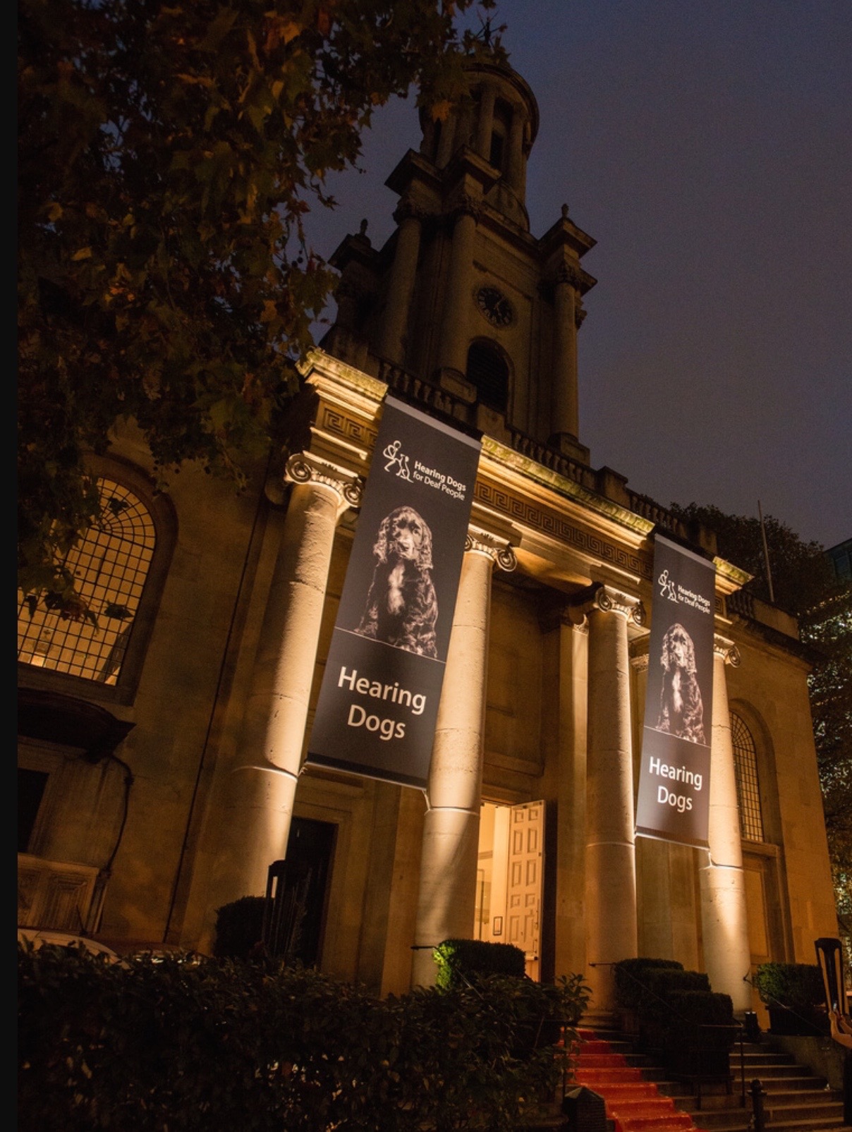 Super size PVC banners