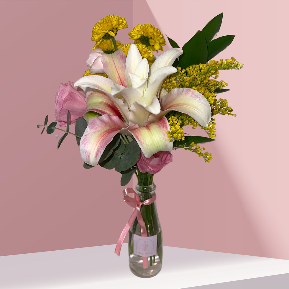 Miniatura: Pote Raquel