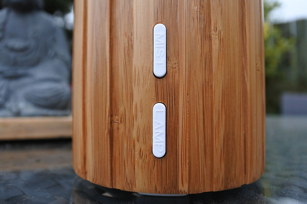 Thumbnail: ESTA Ultrasonic Aroma Diffuser Sustainable Bamboo (MADEBYZEN) Neals Yard