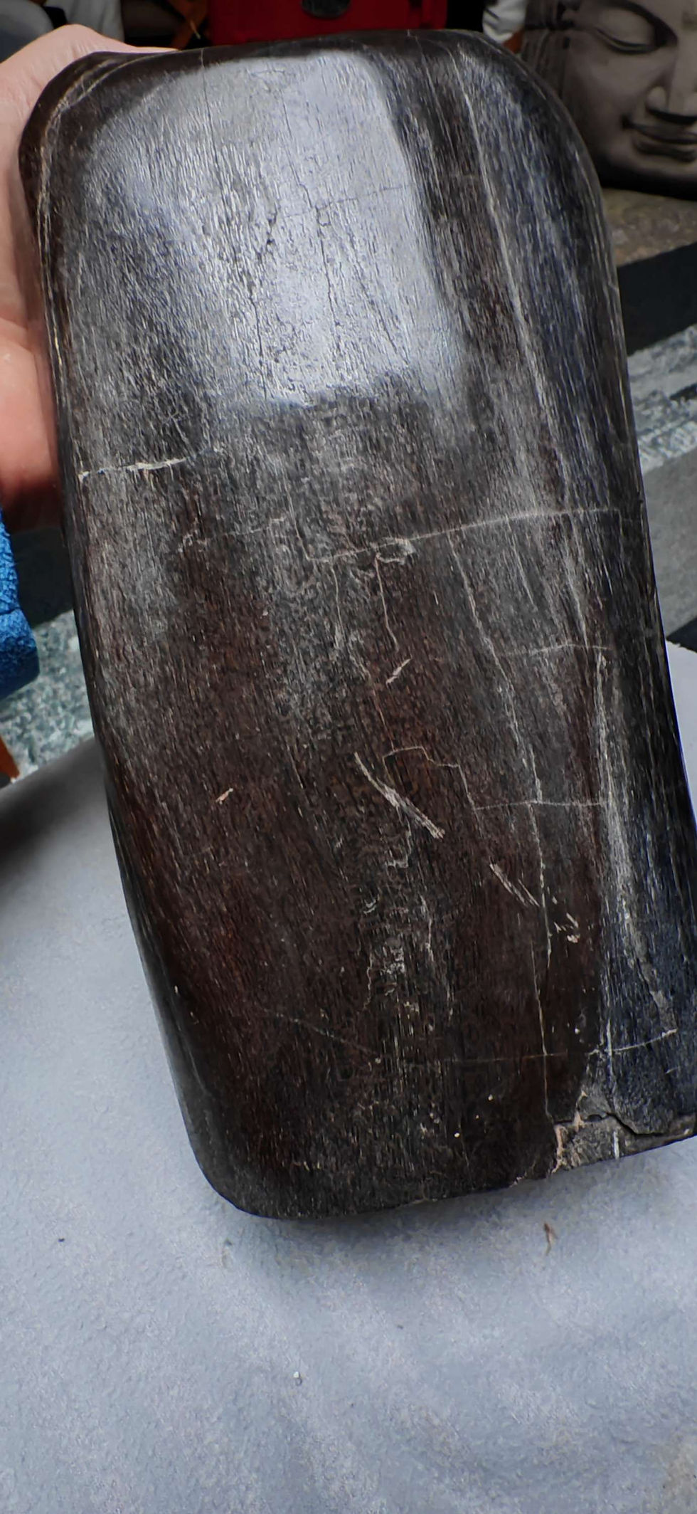 Thumbnail: Petrified Wood, 5.7kg an absolute BEAST. Dark and Brooding.