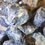 Thumbnail: Amber Rough  - LARGE Indonesian 3 Grades, rough