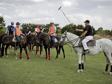 Polo School activity