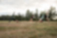 20220708-DSC_8826.jpg