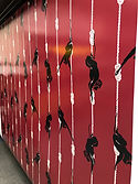 IMG_4717.JPEG