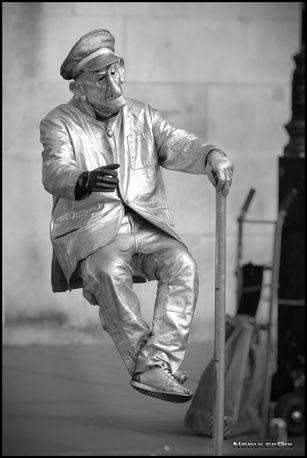 The Silver Sitter.jpeg