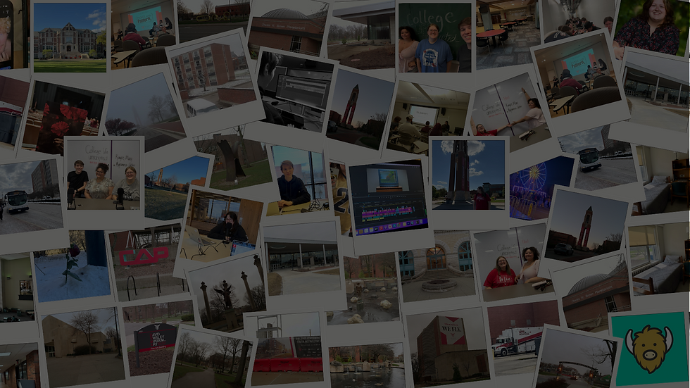 A collage of Polaroid looking images