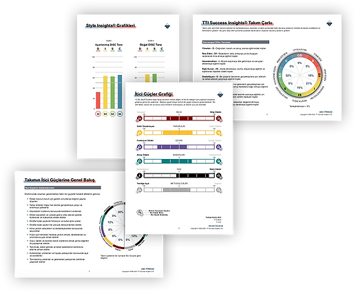 talent-insights-rapor-ornekleri-3.png