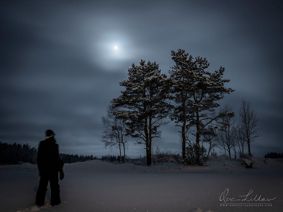 Man standing in the winter landscape in the middle of the night looking at the moon