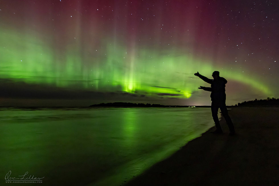 Thumbnail: Outdoor Night Experience