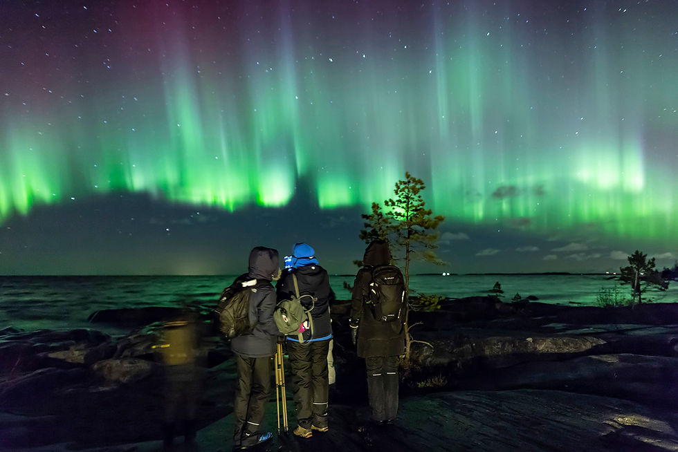 Thumbnail: Outdoor Night Experience