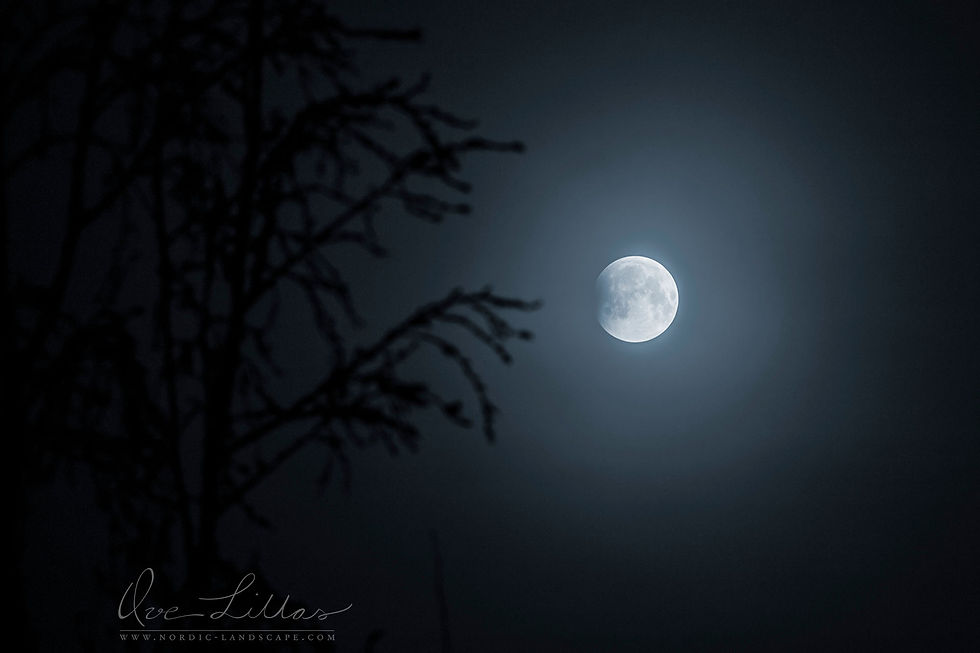 The lunar eclipse in a close-up photo