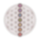 chakras transparent LOGO-01.png