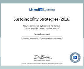 CertificateOfCompletion_Sustainability Strategies 2016 (1).jpg