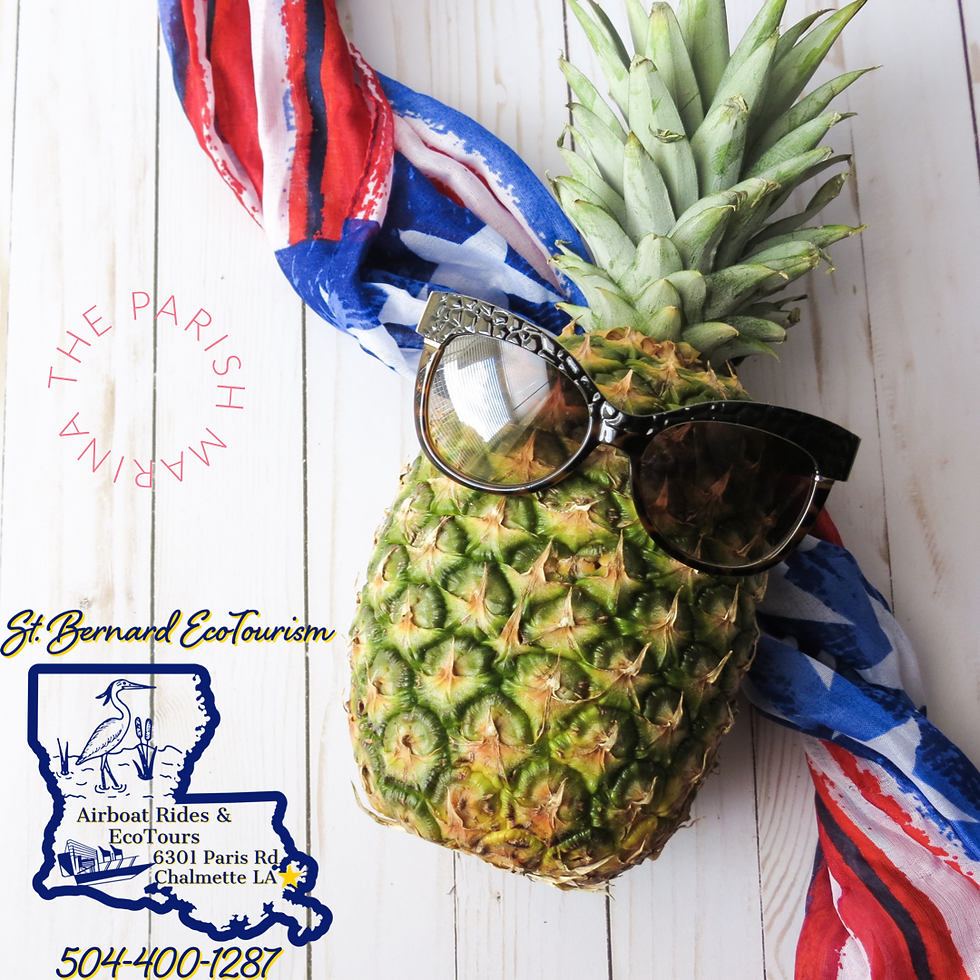 SBET Pineapple Logo