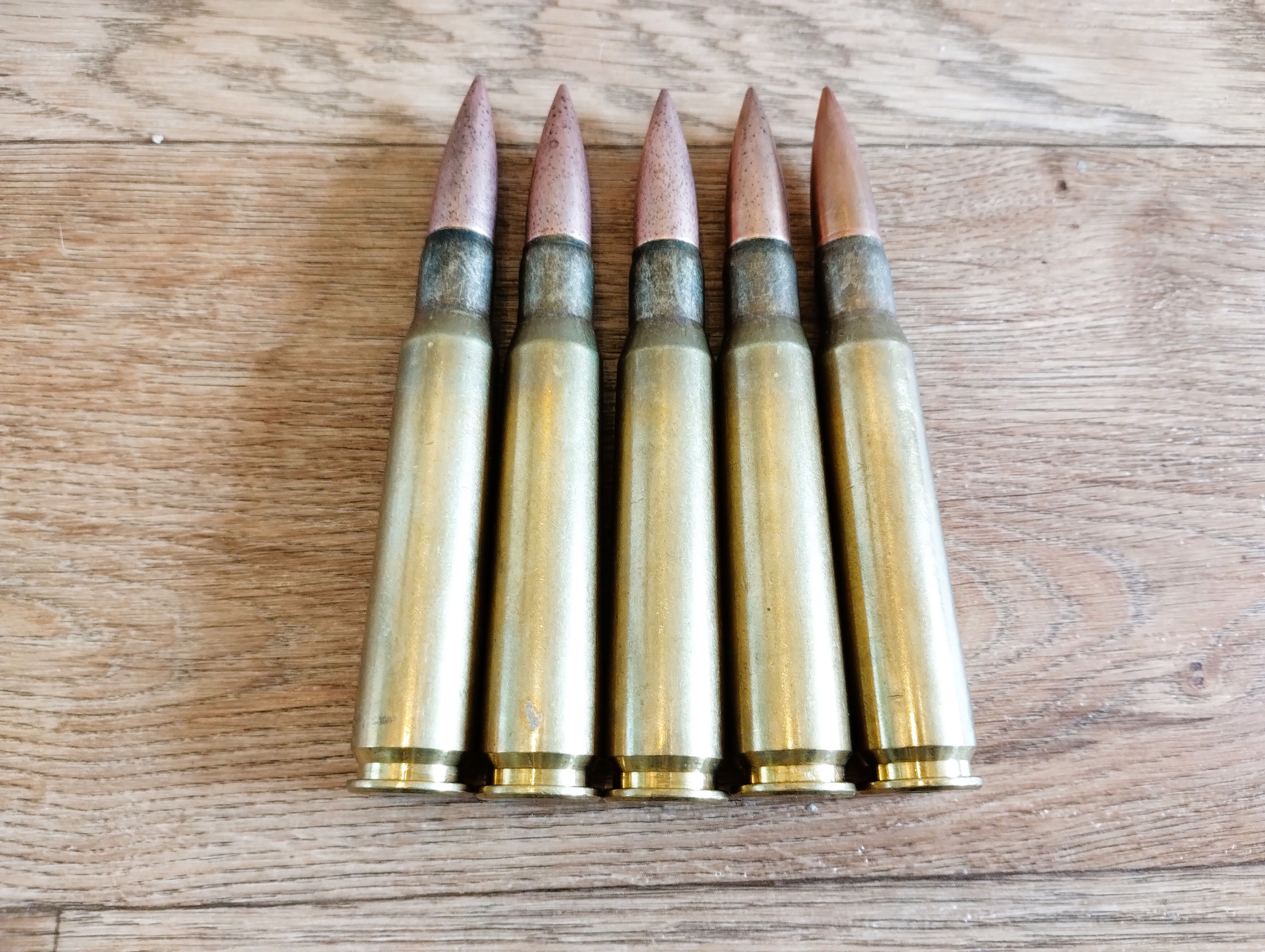 .50 Inert Rounds