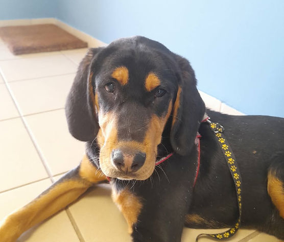 Ben