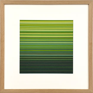 Cape Point Fynbos.jpg