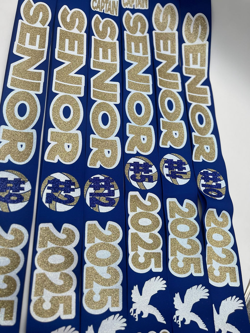 Thumbnail: High School Senior Sash