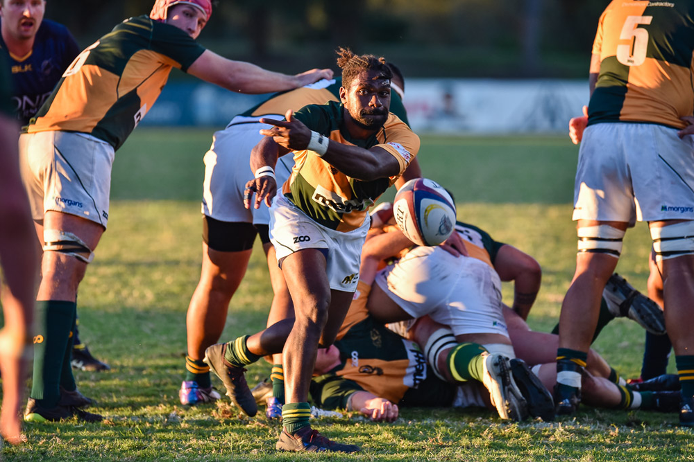 QLD Premier Rugby - Bond Uni v Wests Bulldogs