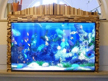 EI - Living Aquarium_edited.jpg