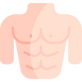 chest (1).png
