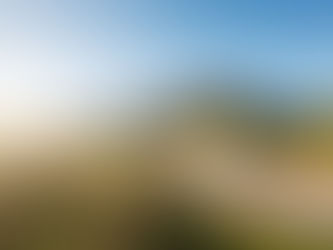 Valentine's Day Escape at Ross Ranch in Sonoma