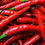 Thumbnail: Red Chilli Pepper